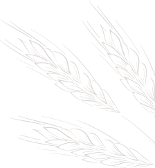 bg_1.png