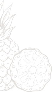 bg_2.png