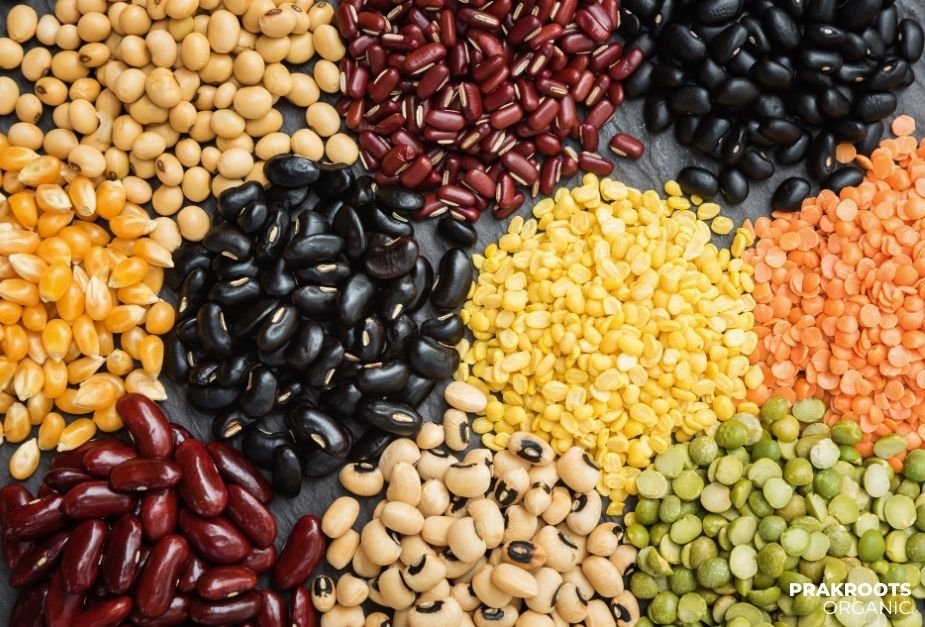 organic-pulses-1.jpg